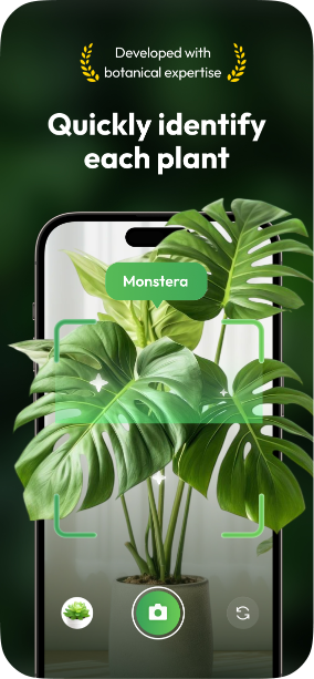 Quickly identify each plant