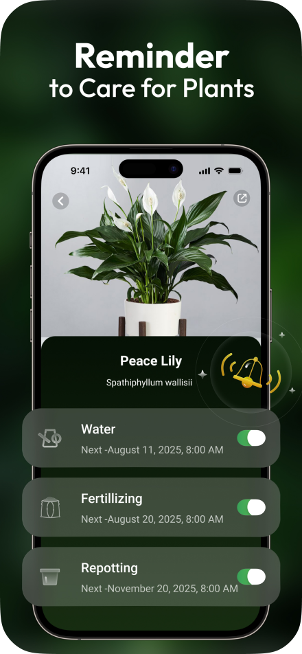 Reminder to Care for Plants